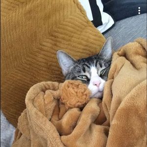 Meet your Posher, Nia